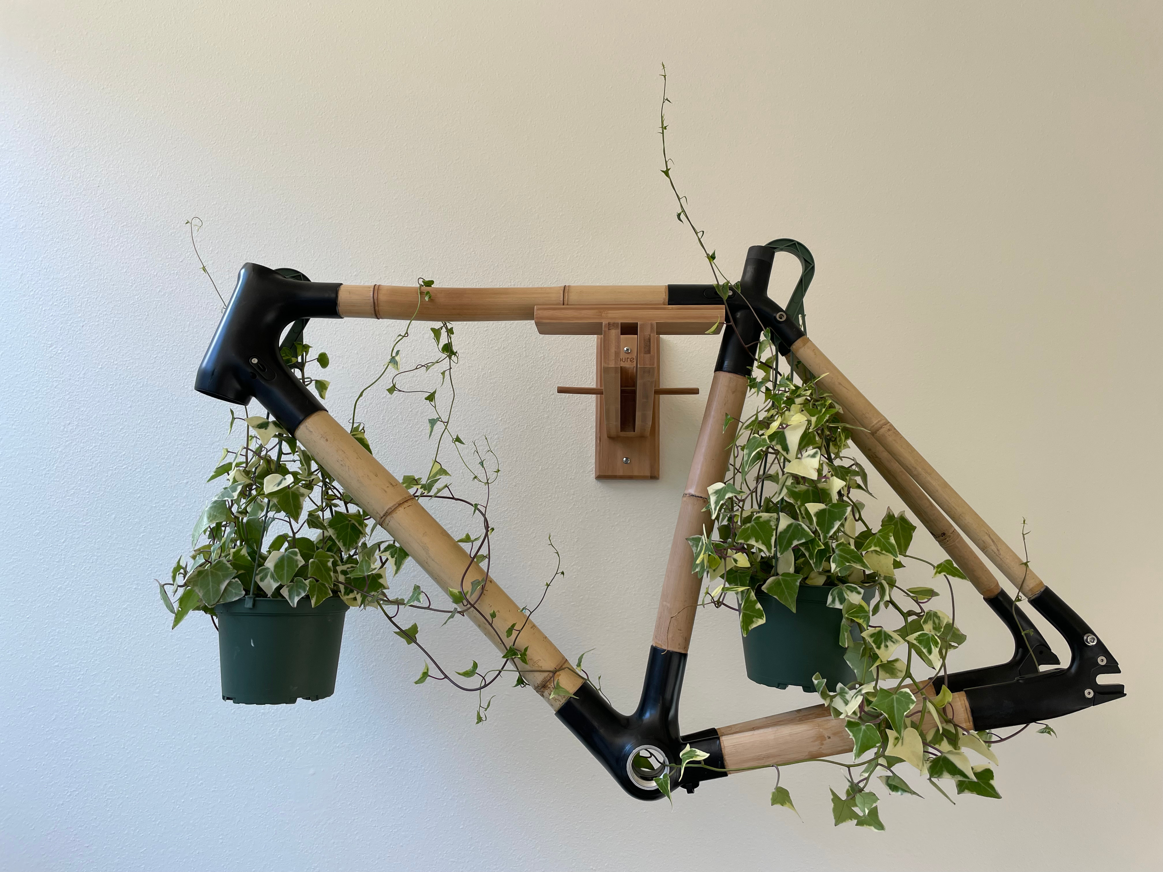 frame with vines hanging from it